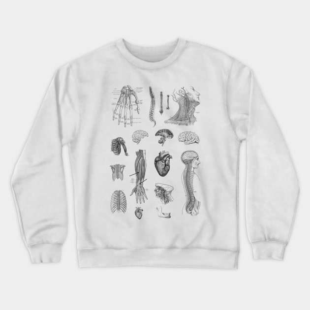 Vintage Anatomy Illustration Crewneck Sweatshirt by StilleSkyggerArt